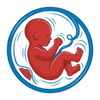 sevent Month of pregnancy