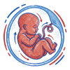 eight Month of pregnancy