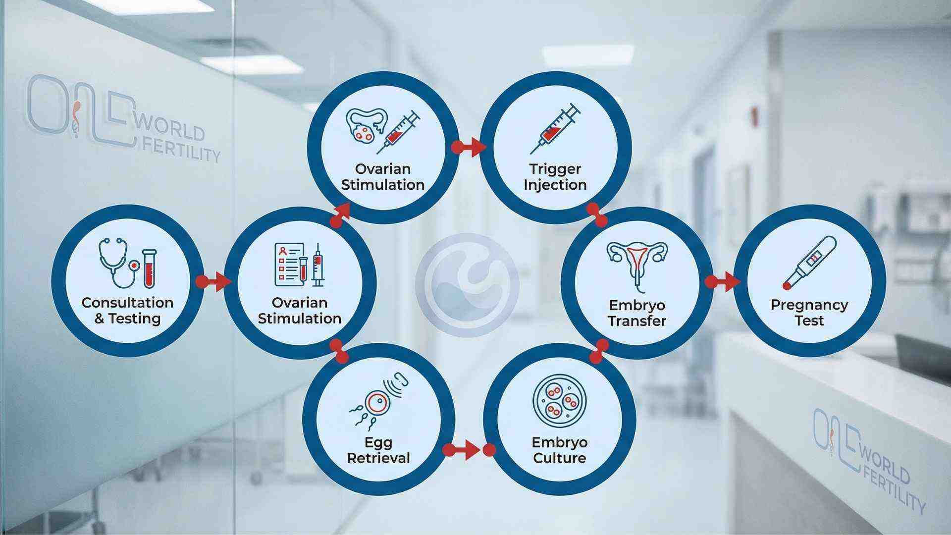 IVF Procedure in Guwahati IVF Procedure in Guwahati