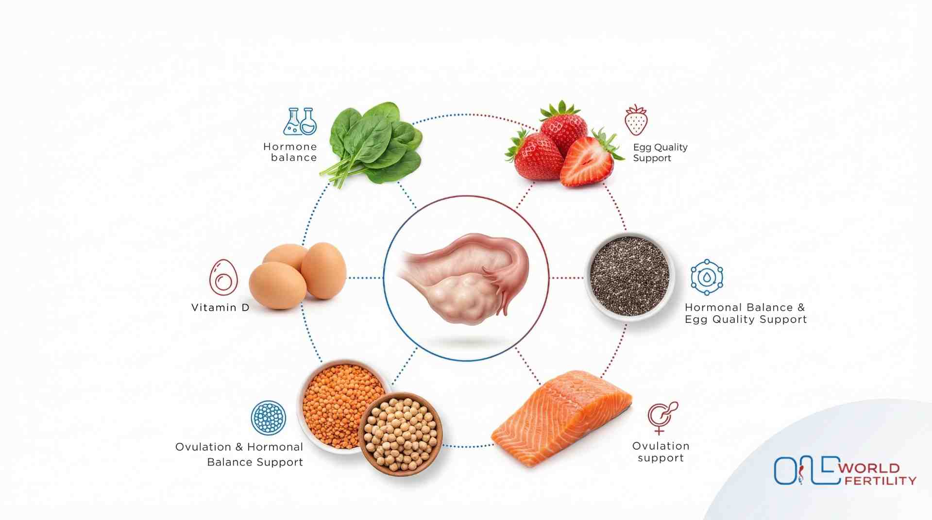 Foods to Increase Women's Fertility Naturally - One world fertility.jpg