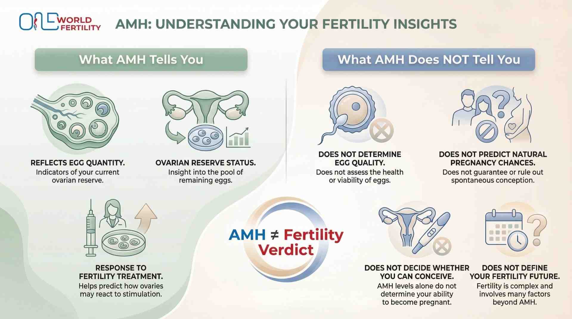 What Is a Healthy AMH Level for Fertility and Pregnancy- ONE WORLD FERTILITY (2).jpg