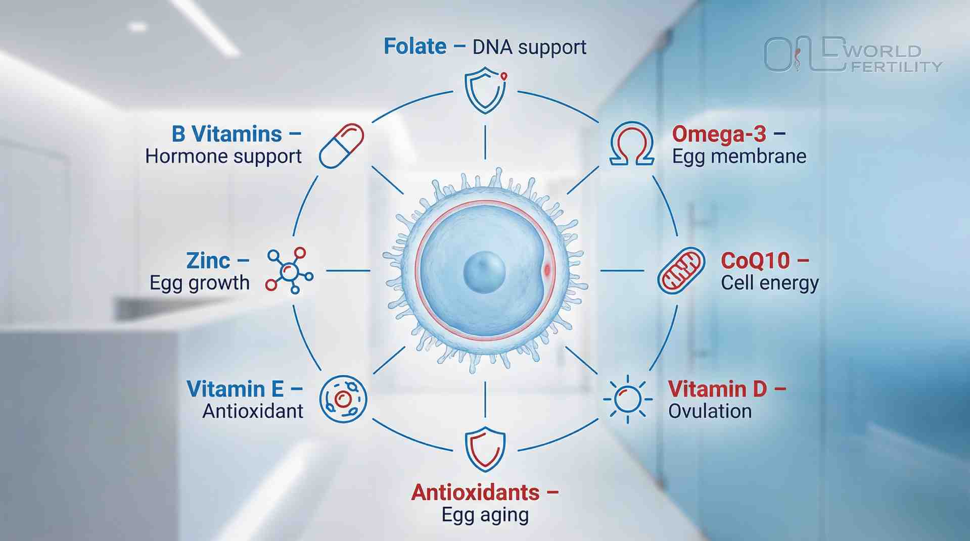 Nutrients For Your Fertility Diet Needs After 35.jpeg