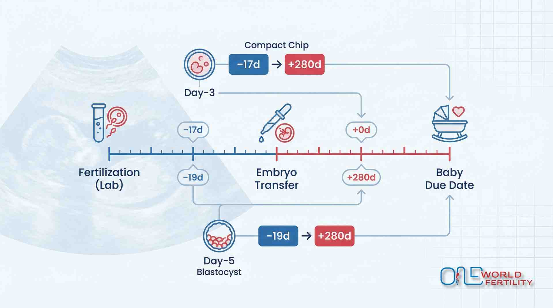 How Does an IVF Twins Due Date Calculator Work- ONE WORLD FERTILITY (2).jpg