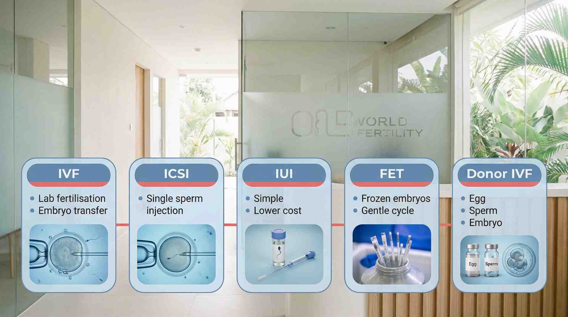 IVF Treatment Options Available in Bali-one world fertility.jpeg