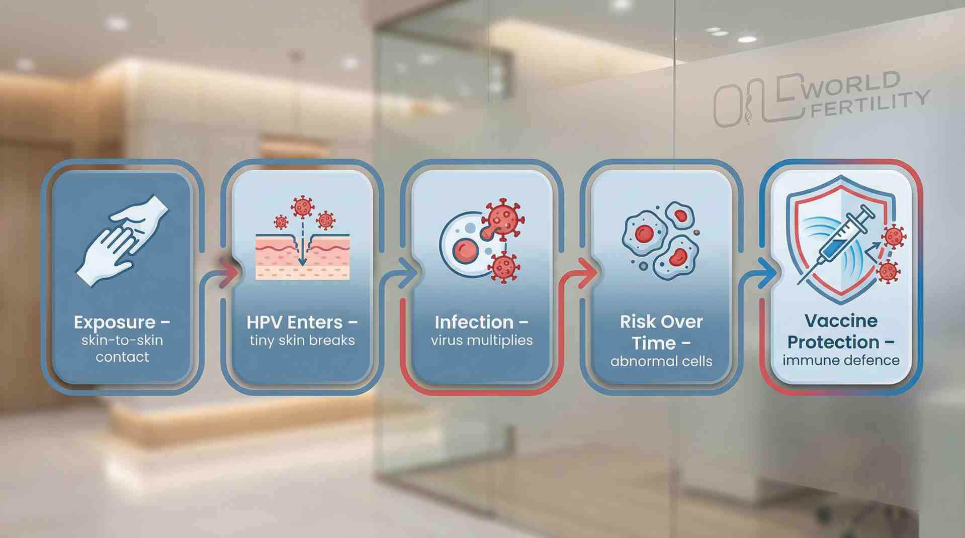 How HPV Infection Happens & How the HPV Vaccine Prevents It - one world fertility.jpeg