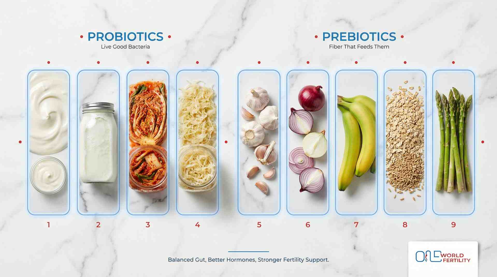 Probiotic & Prebiotic Foods for Microbiome Balance - one world fertility.jpeg