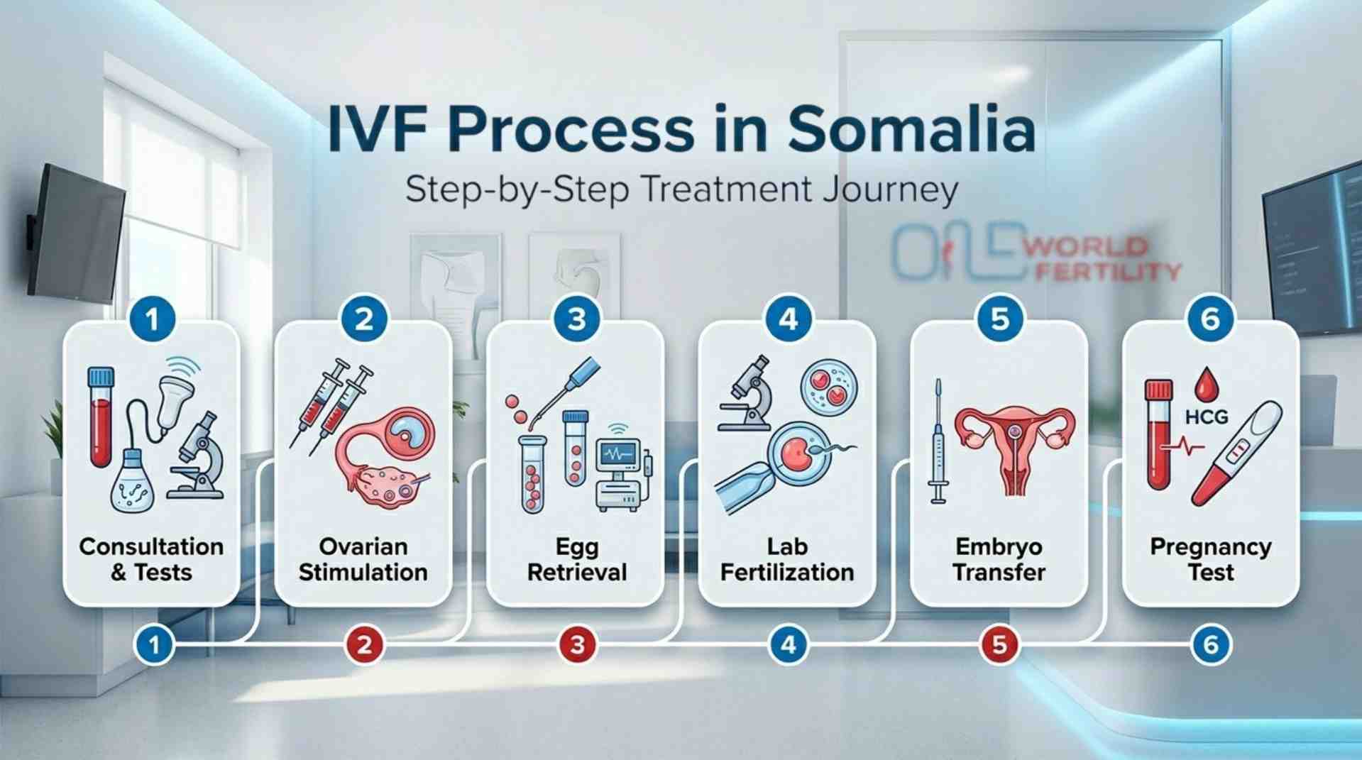 IVF Process in Somalia - Step-by-Step Procedure Guide- ONE WORLD FERTILITY (5).jpg