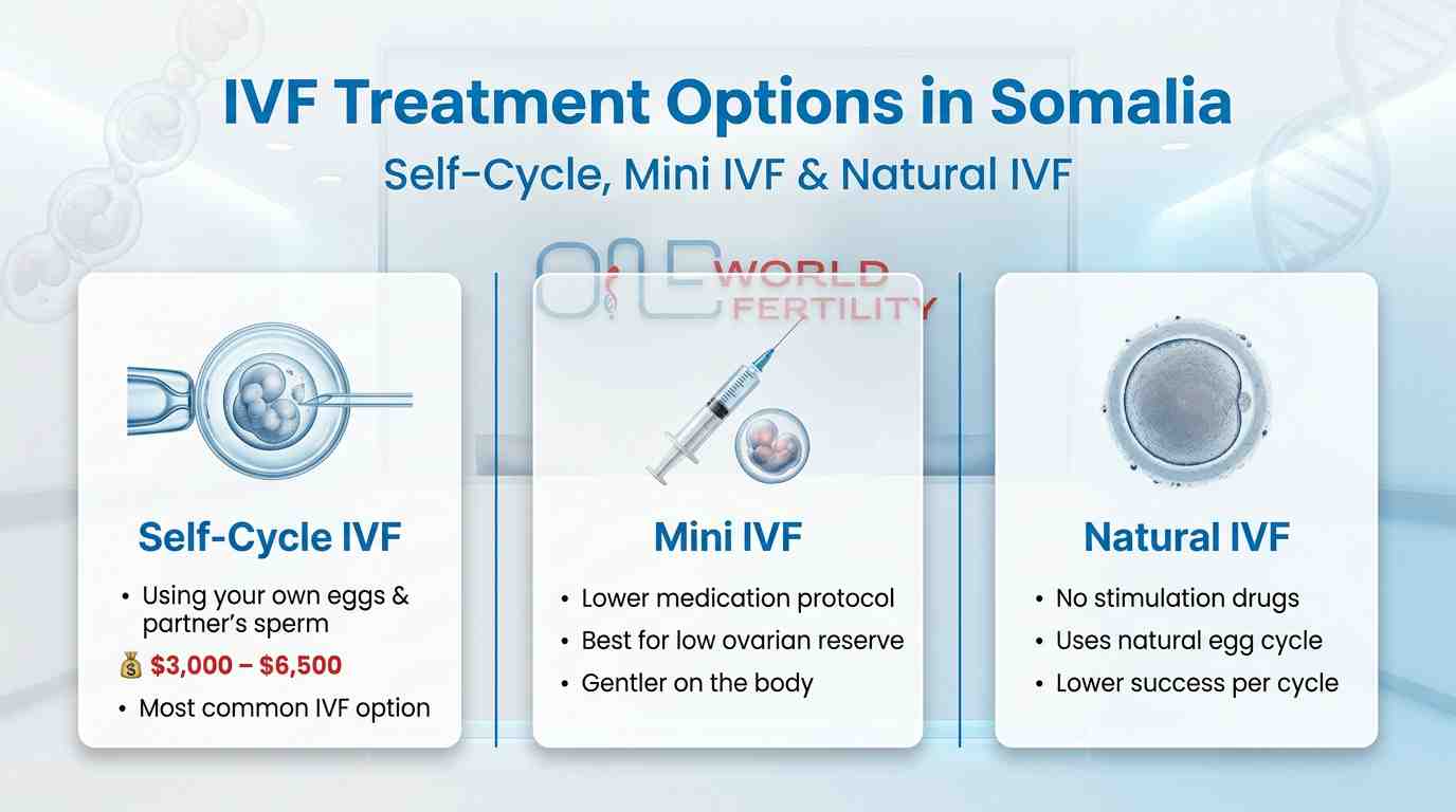 Self-Cycle IVF Cost in Somalia (Using Your Own Eggs) - one world fertility.jpeg
