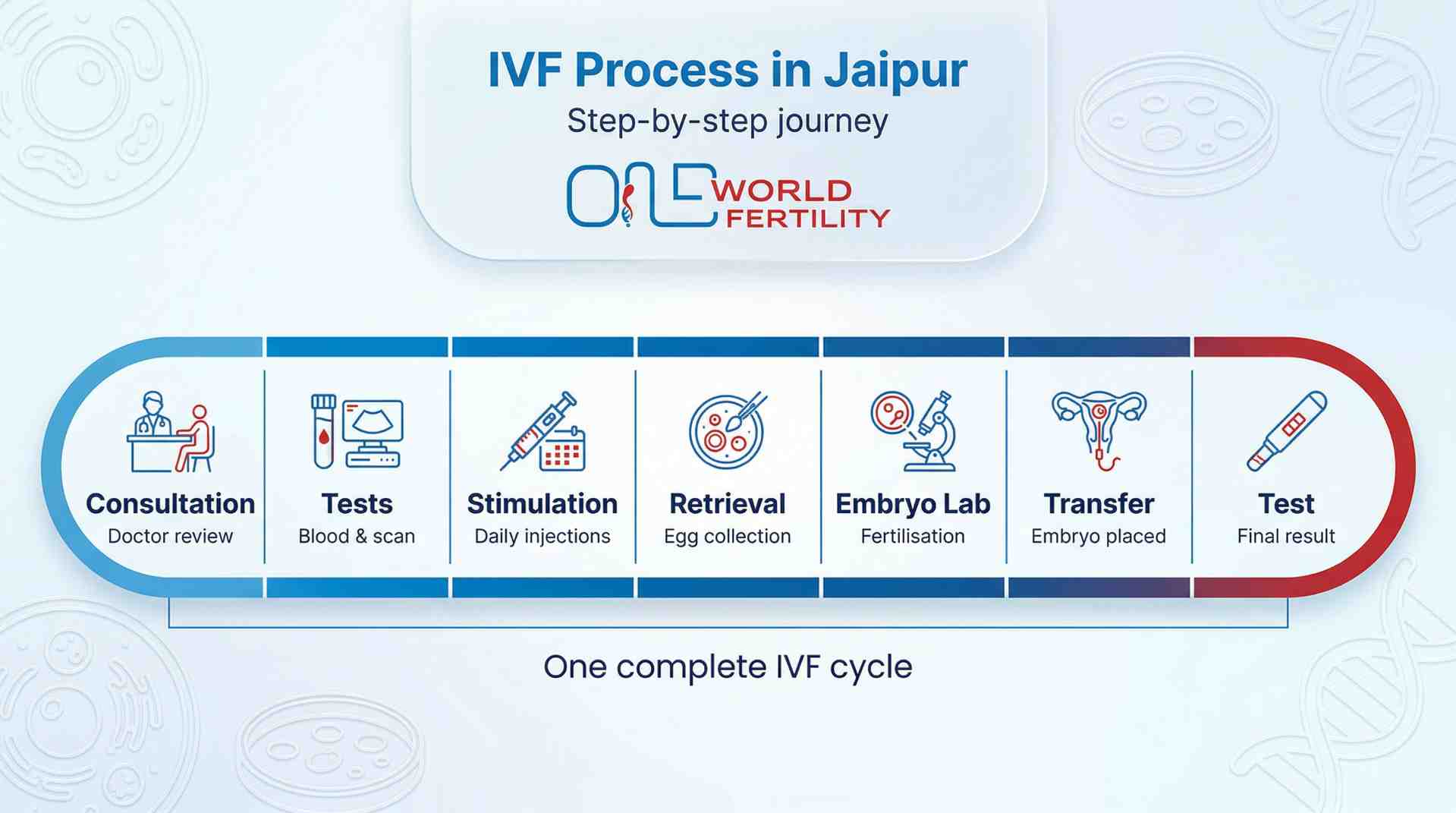 The IVF Process in Jaipur - Step by Step With Cost at Every Stage - one world fertility.jpeg