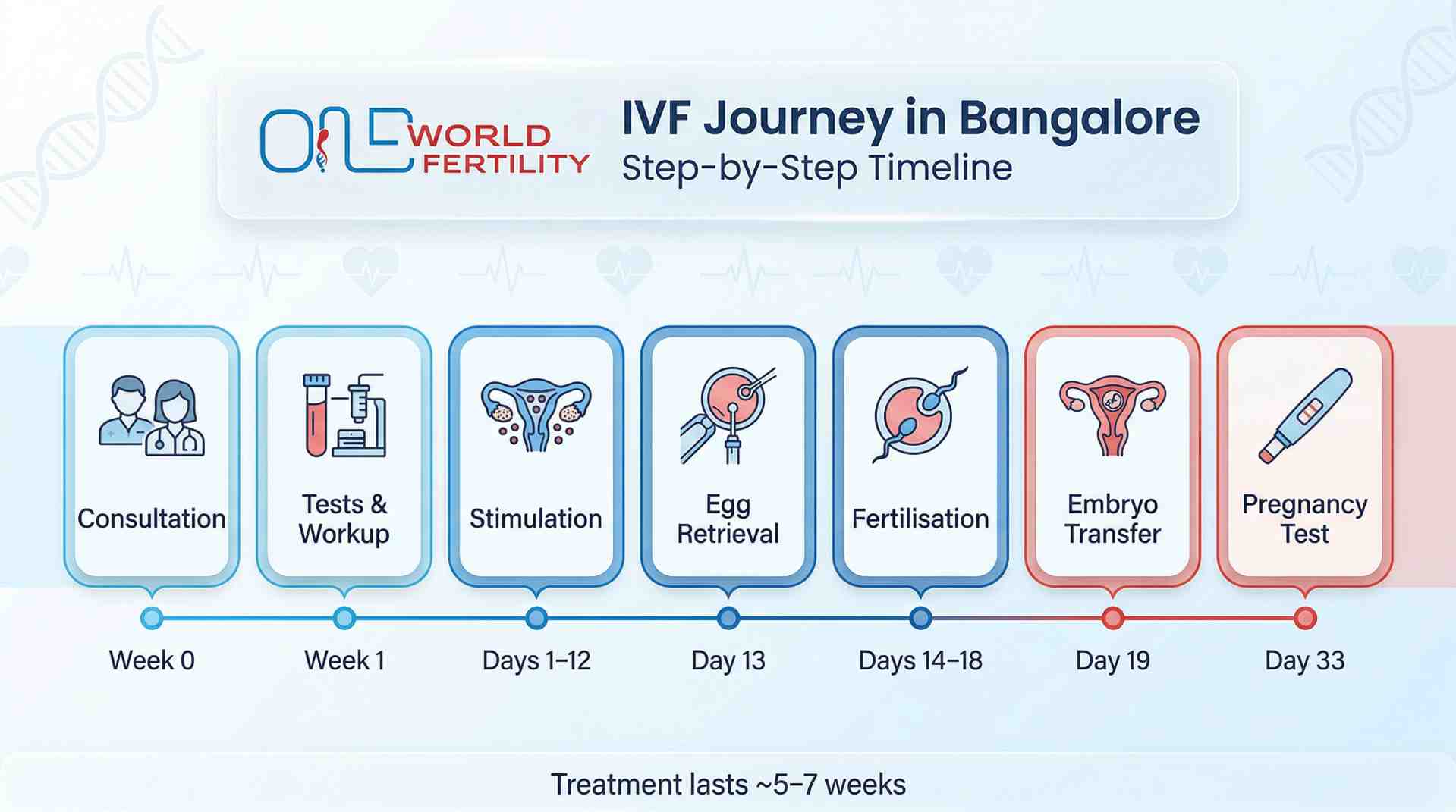 What Does Each Stage of IVF Cost in Bangalore - And When Does the Bill Actually Arrive - one world fertility.jpeg
