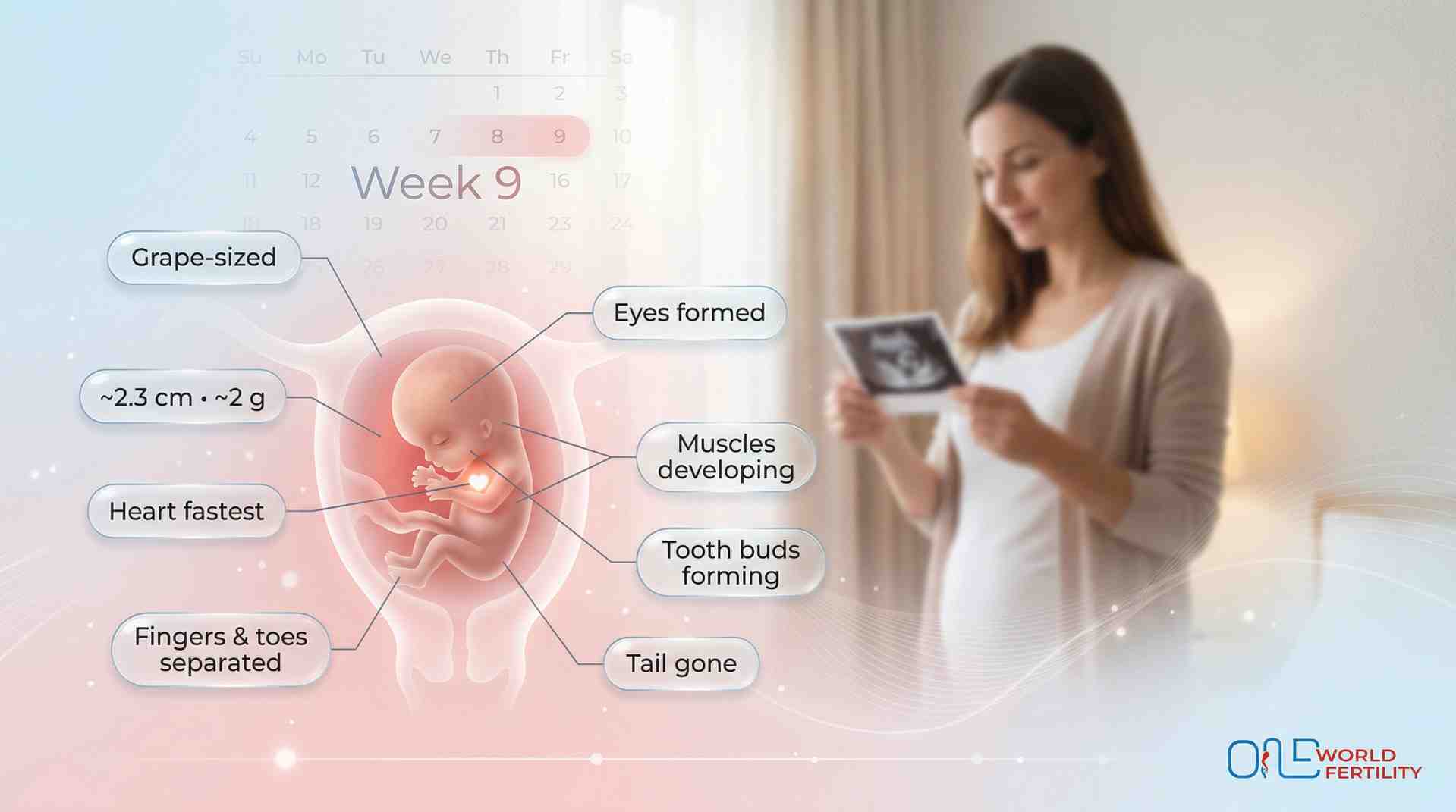 9 week baby.jpeg