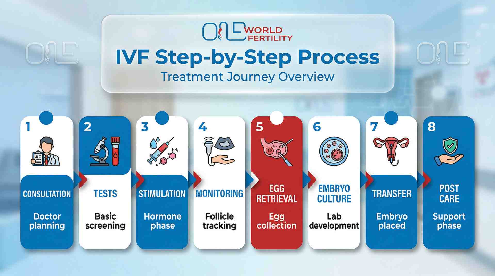 IVF Step-by-Step Cost Breakdown in China (International Patient Rates) - one world fertility.jpeg