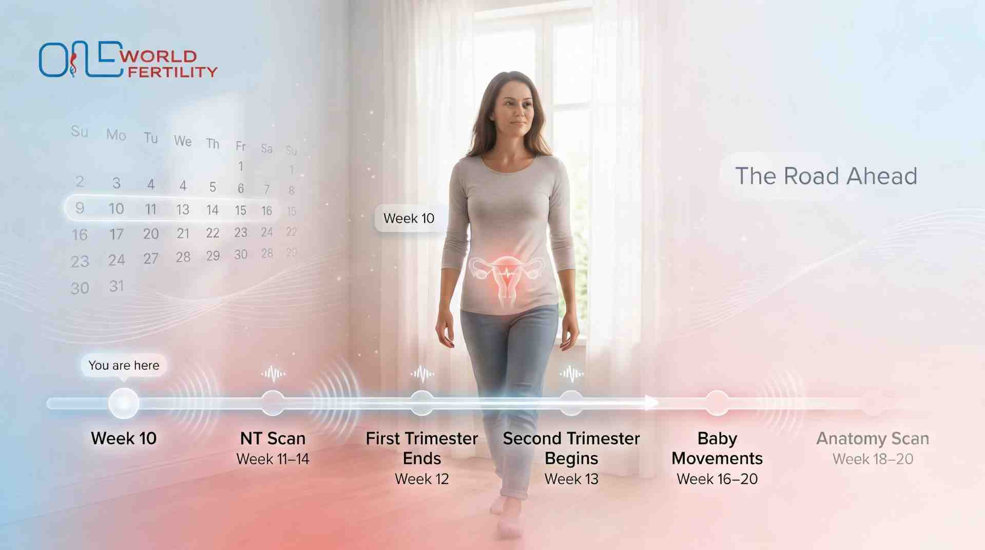 10 week ivf timeline.jpeg